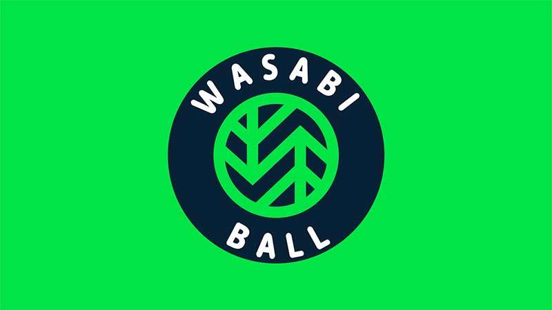 initial seed backups with wasabi ball drives